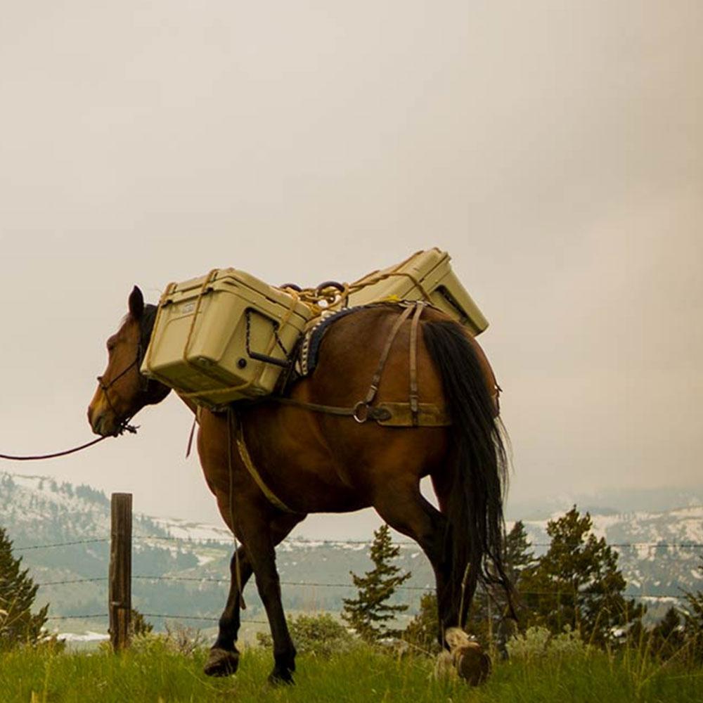 Custom YETI Tundra 45 Hard Cooler - Corporate Gifts